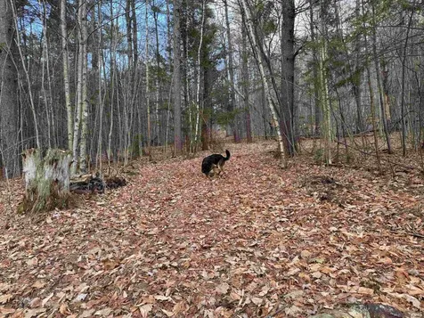 190 Circuit Road Ossipee NH 03864