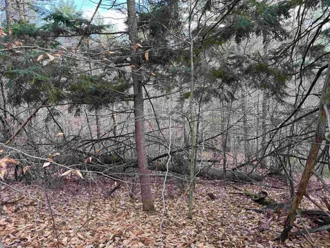 190 Circuit Road Ossipee NH 03864