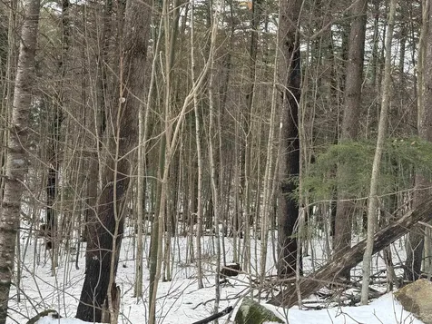 190 Circuit Road Ossipee NH 03864