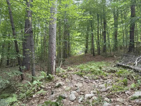 190 Circuit Road Ossipee NH 03864