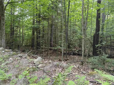 190 Circuit Road Ossipee NH 03864