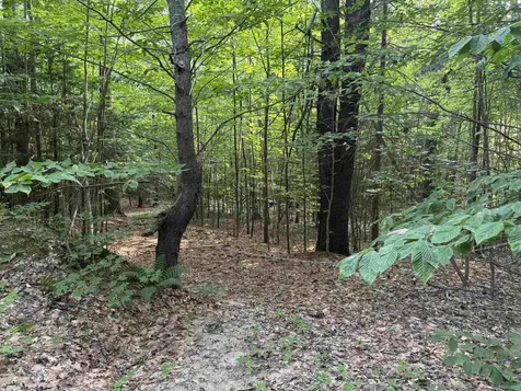 190 Circuit Road Ossipee NH 03864