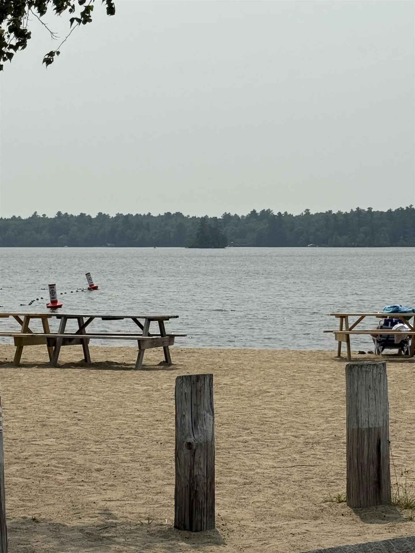 37 Mayflower Lane Moultonborough NH 03254