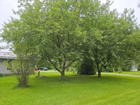 123 Lake Street Swanton VT 05488