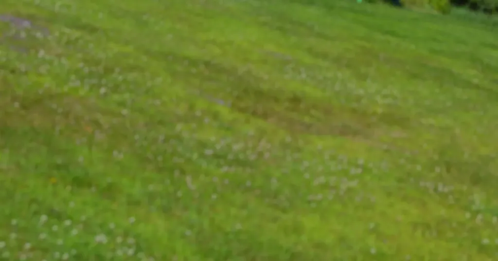 4966 Us Route 5 Barnet VT 05051