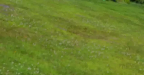 4966 Us Route 5 Barnet VT 05051