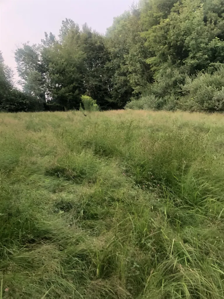 Lot 4 Belvedere Road Gilsum NH 03448