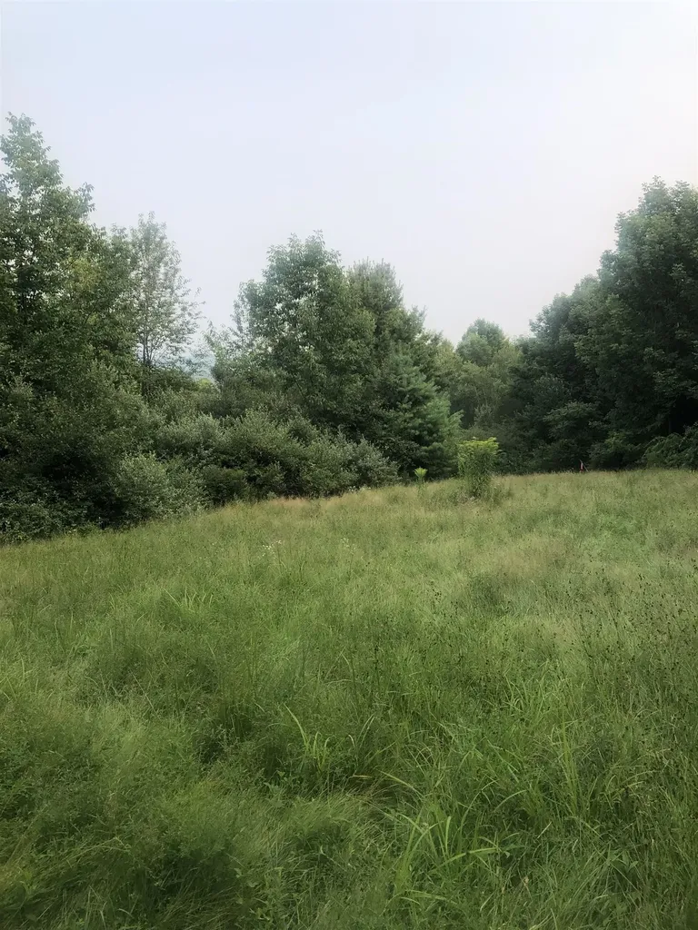 Lot 4 Belvedere Road Gilsum NH 03448