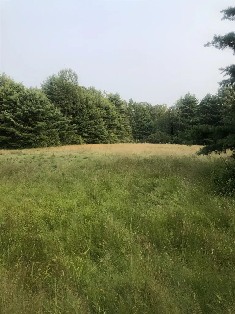 Lot 4 Belvedere Road Gilsum NH 03448