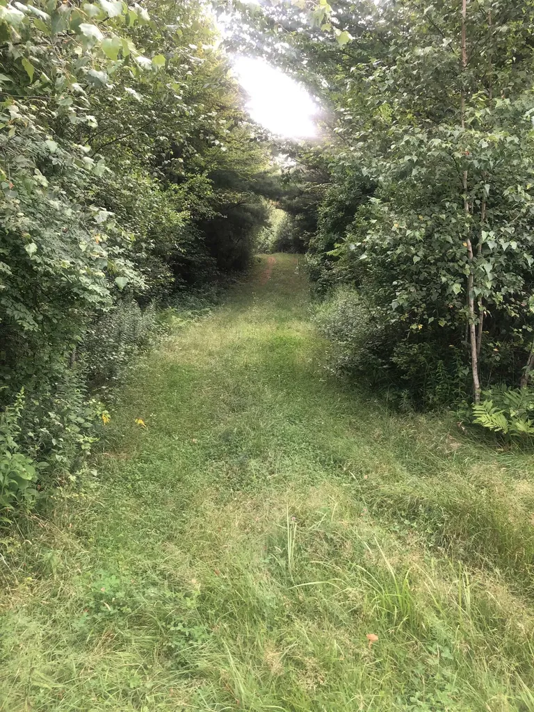 Lot 4 Belvedere Road Gilsum NH 03448