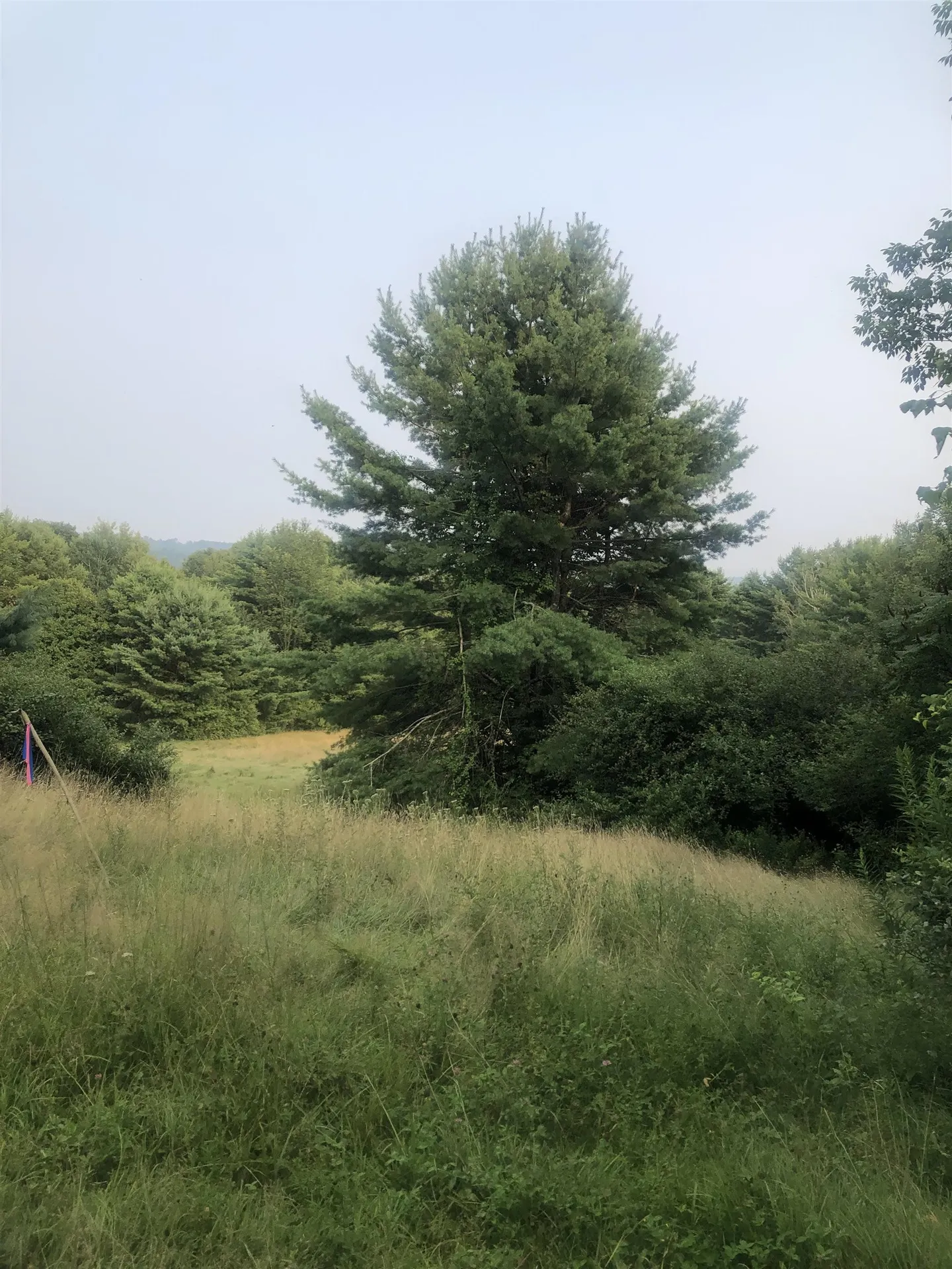 Lot 4 Belvedere Road Gilsum NH 03448