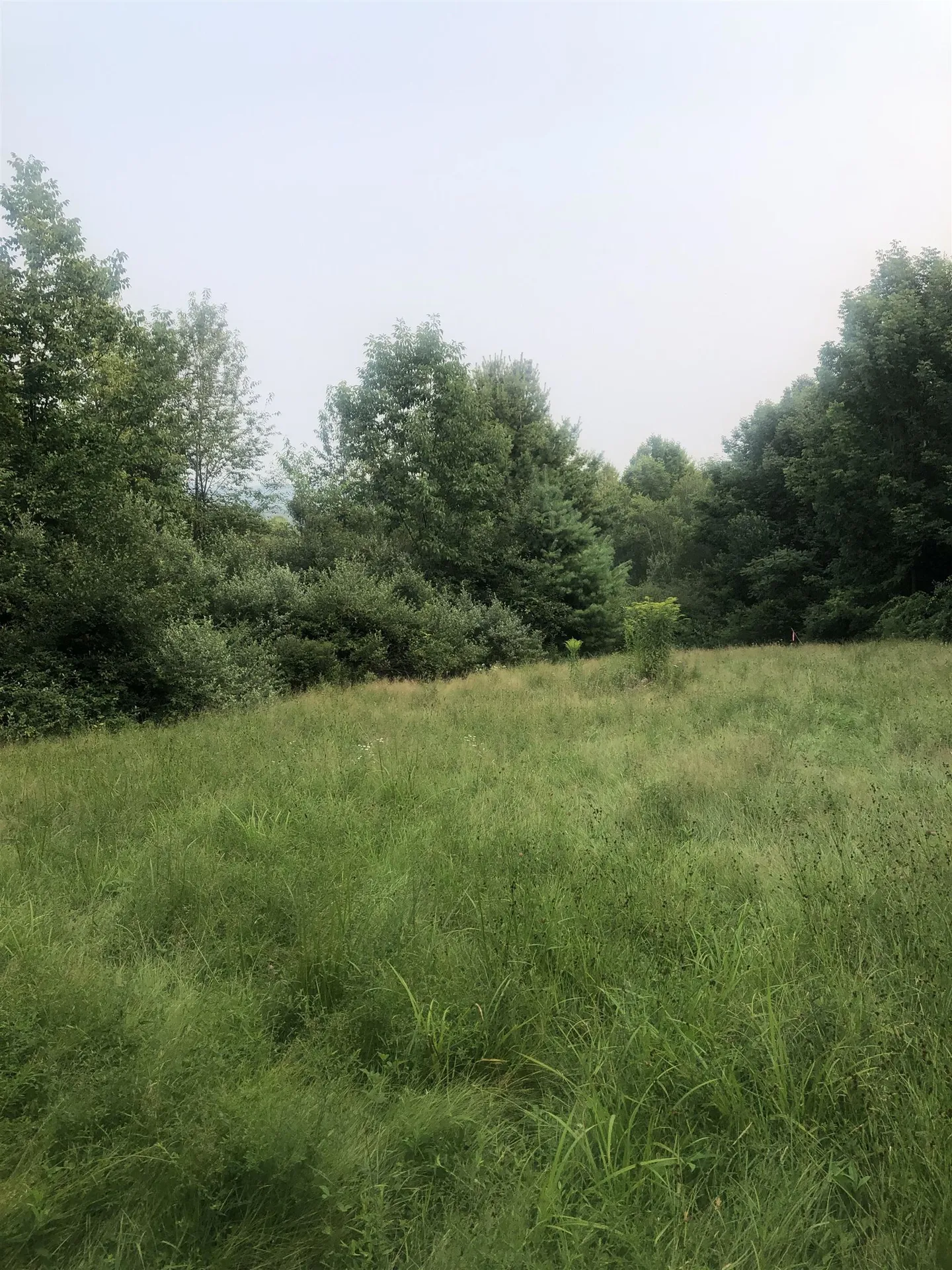 Lot 4 Belvedere Road Gilsum NH 03448