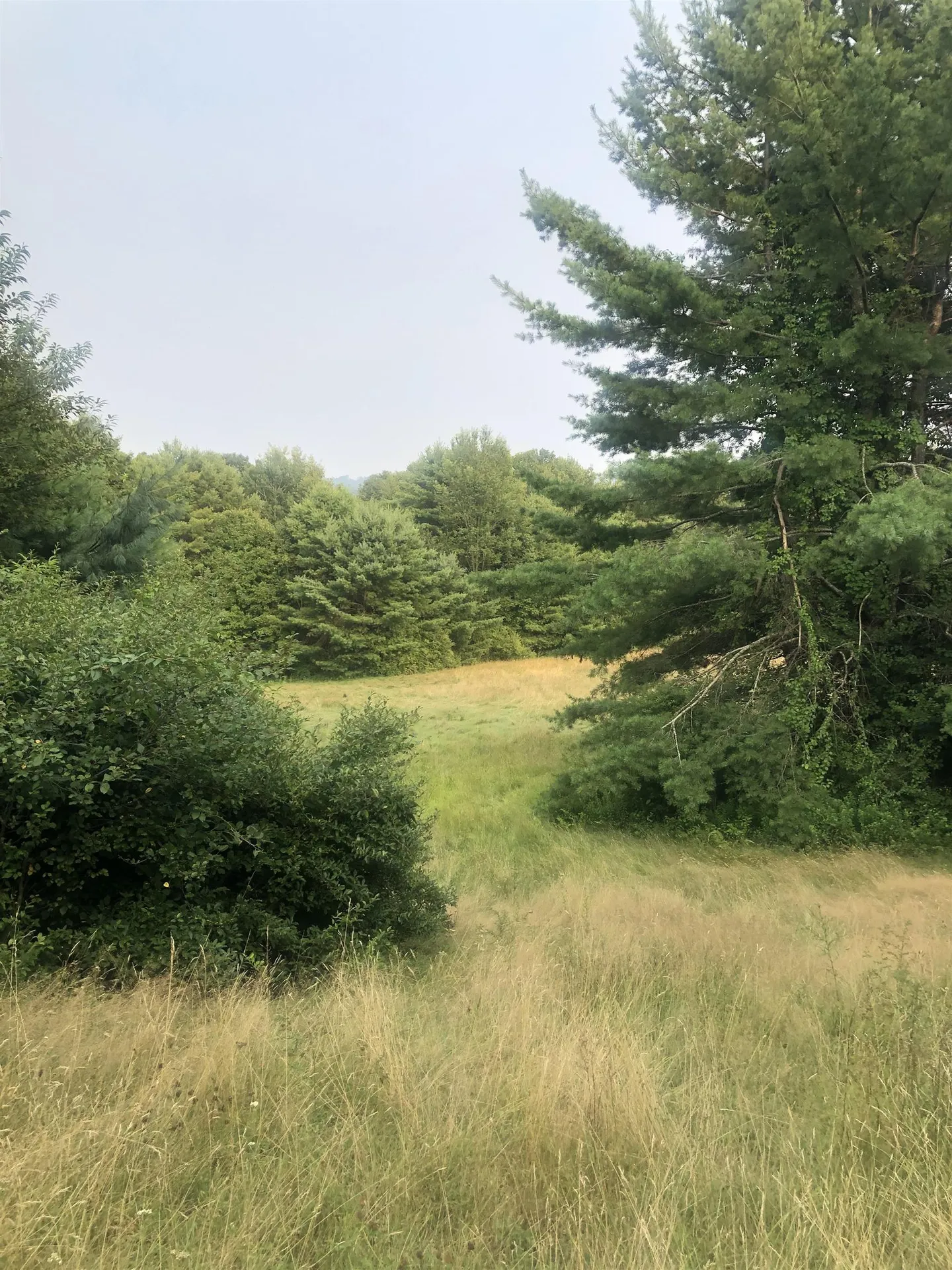 Lot 4 Belvedere Road Gilsum NH 03448