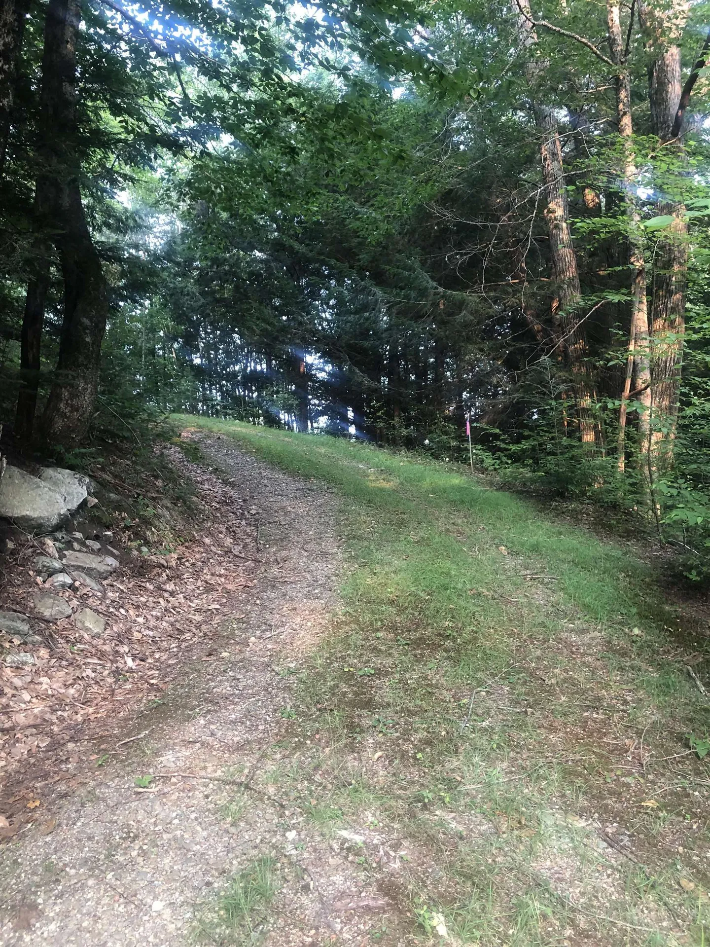 Lot 4 Belvedere Road Gilsum NH 03448