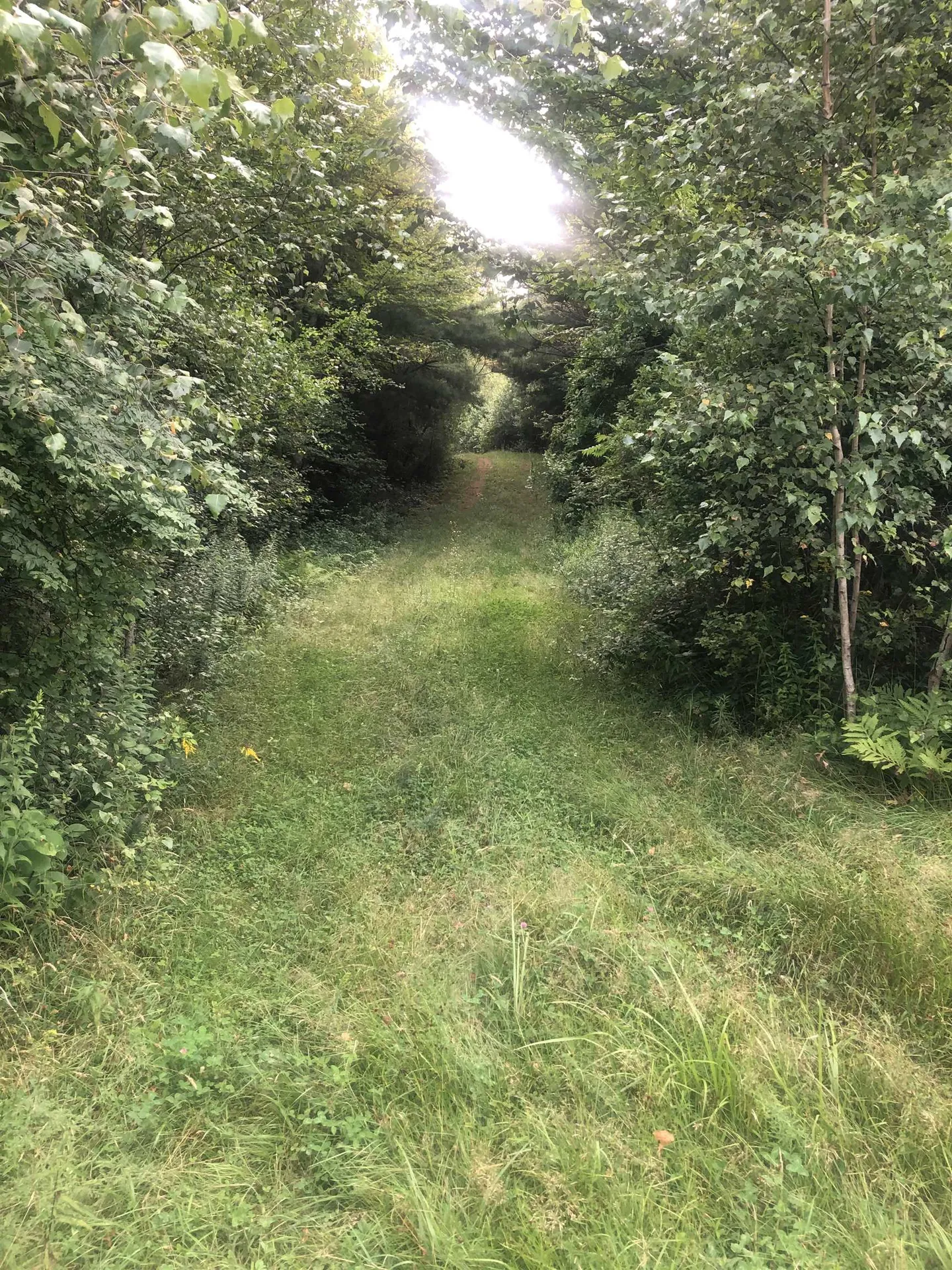 Lot 4 Belvedere Road Gilsum NH 03448