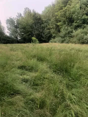 Lot 4 Belvedere Road Gilsum NH 03448