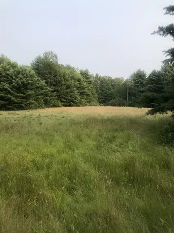 Lot 4 Belvedere Road Gilsum NH 03448