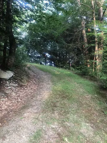 Lot 4 Belvedere Road Gilsum NH 03448