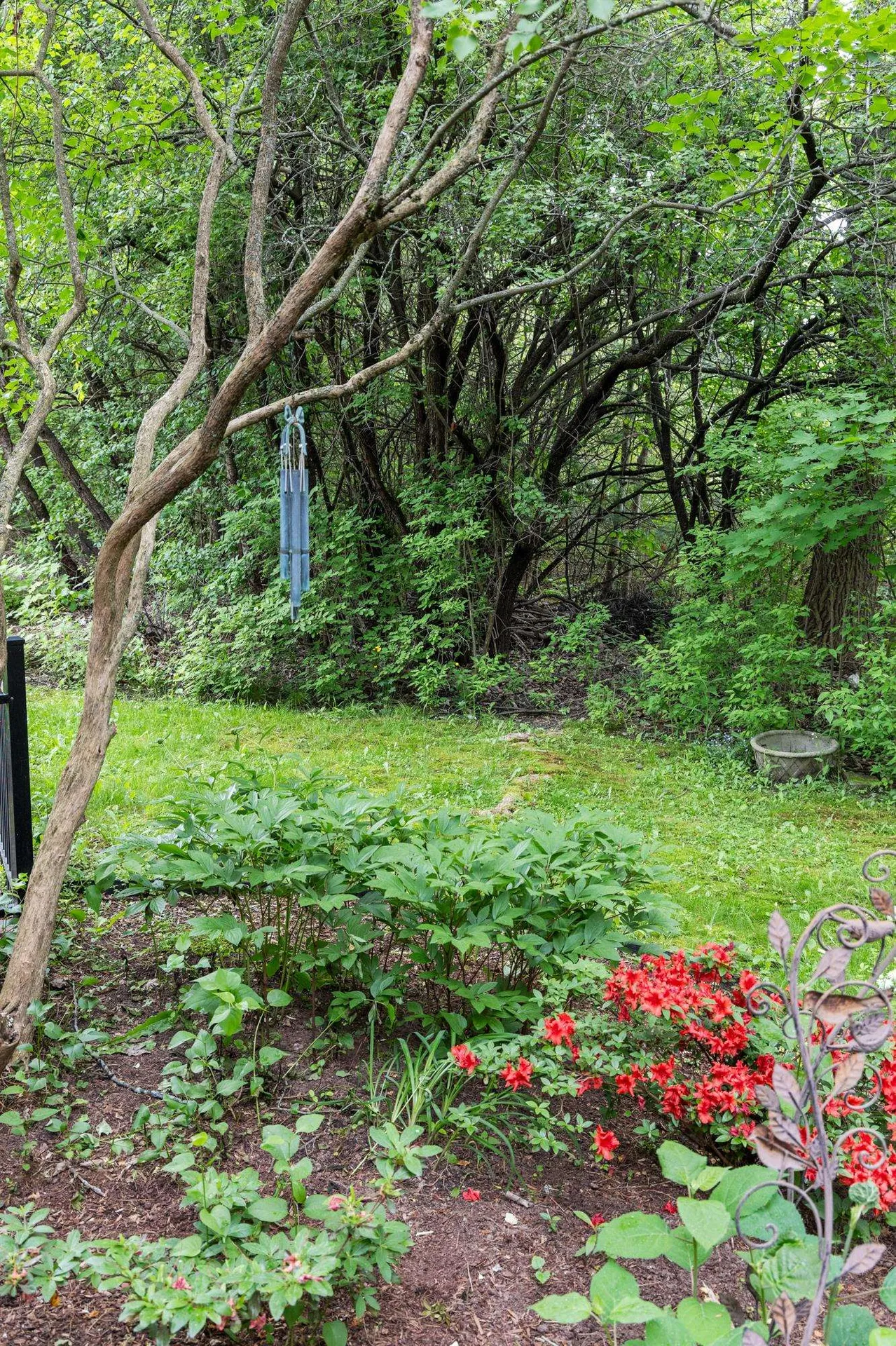 11 Lake Forest Drive Burlington VT 05401