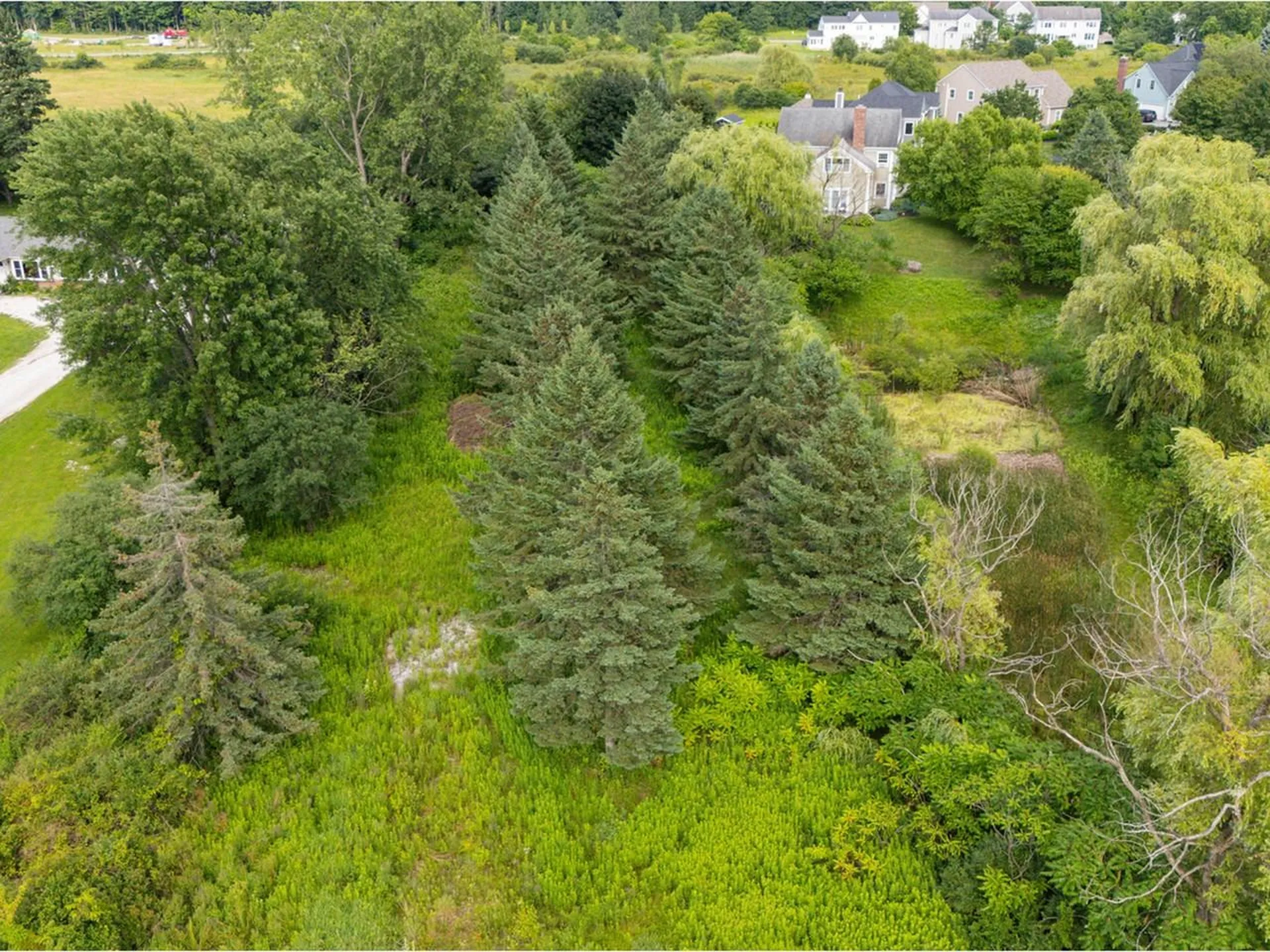 1432 Spear Street South Burlington VT 05403