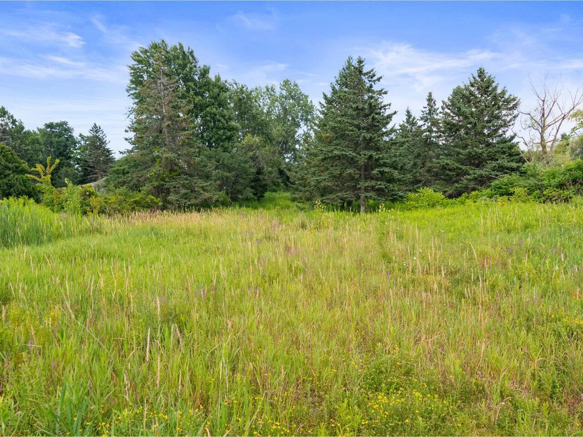 1432 Spear Street South Burlington VT 05403