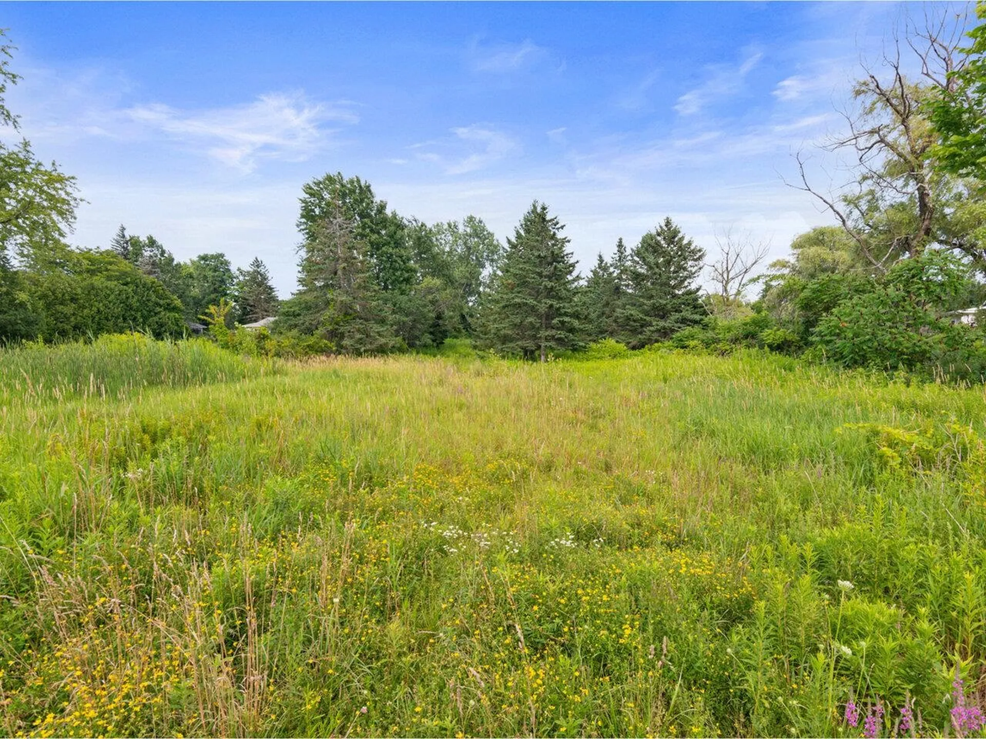 1432 Spear Street South Burlington VT 05403