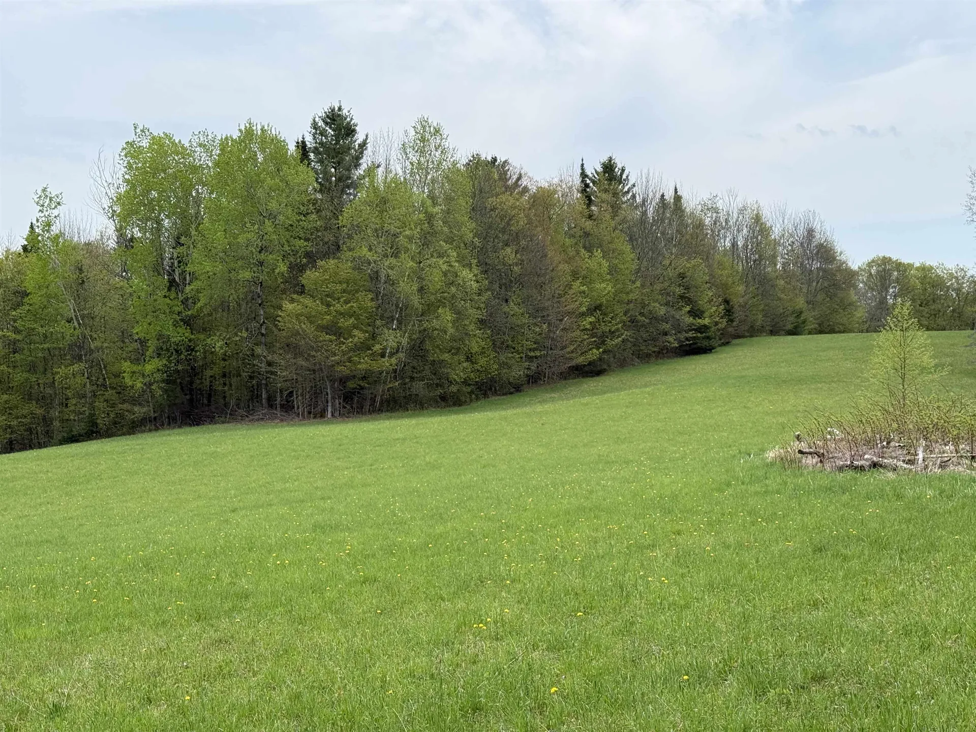 770 Pope Brook Road Danville VT 05828