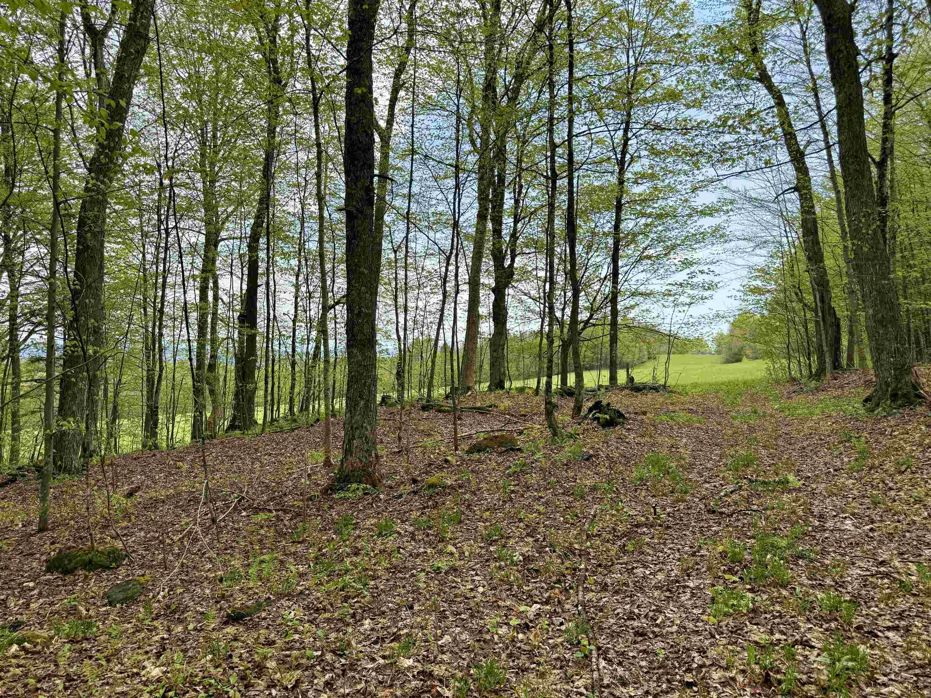 770 Pope Brook Road Danville VT 05828