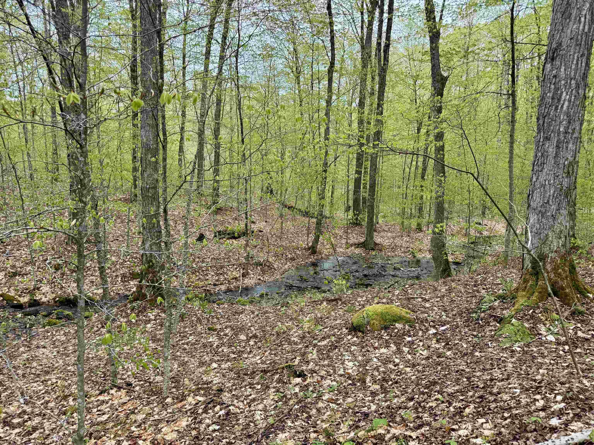 770 Pope Brook Road Danville VT 05828