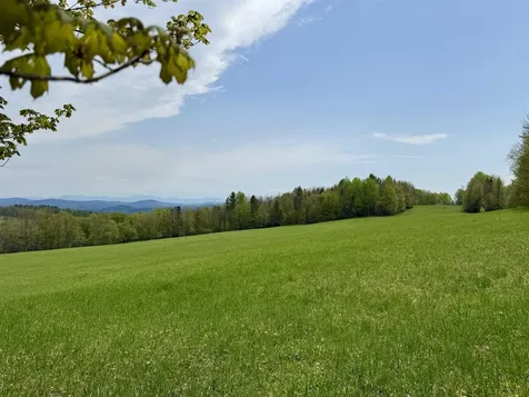 770 Pope Brook Road Danville VT 05828