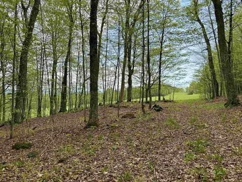770 Pope Brook Road Danville VT 05828