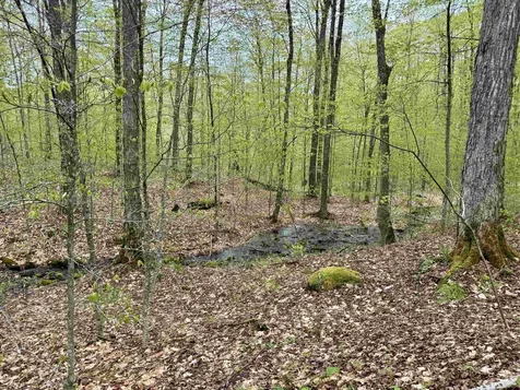 770 Pope Brook Road Danville VT 05828