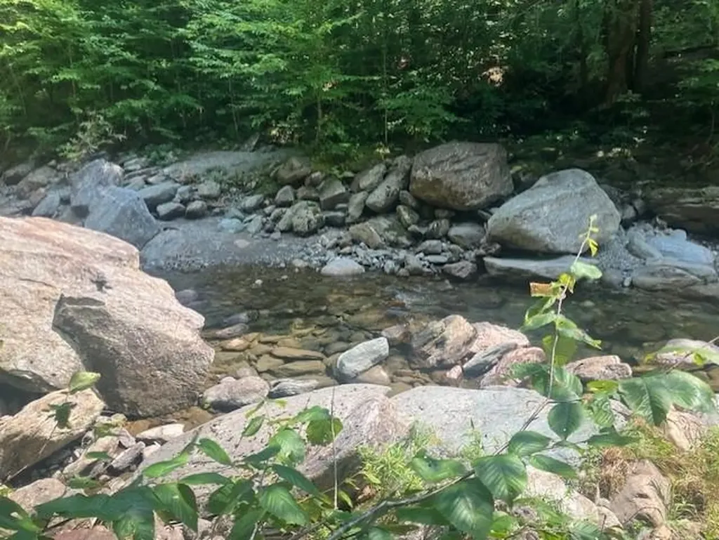 367 Lower Ring Road Montgomery VT 05471