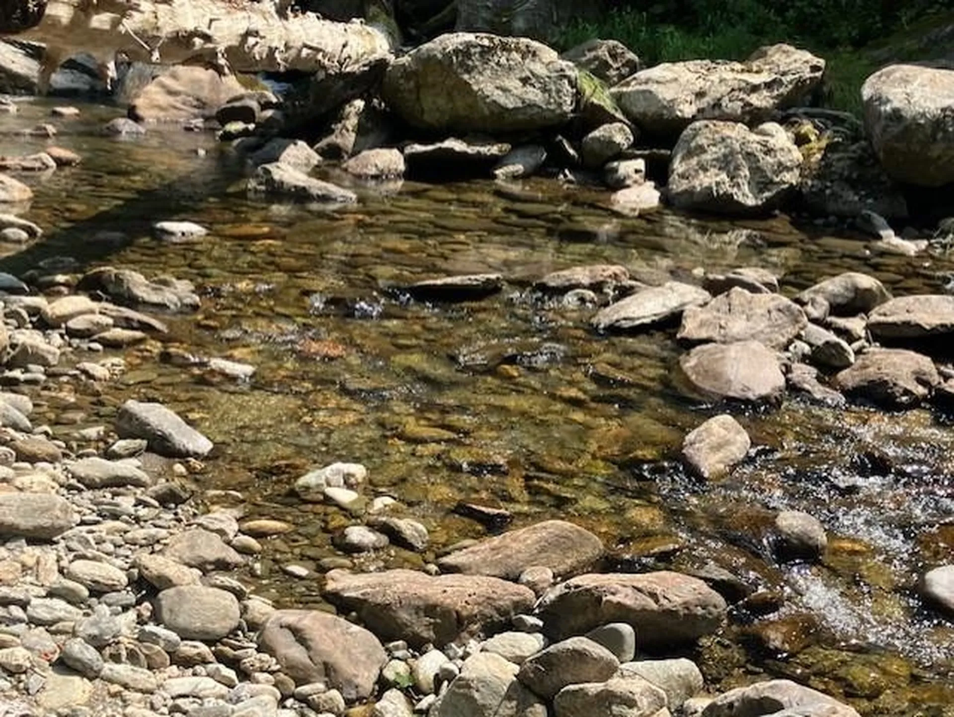 367 Lower Ring Road Montgomery VT 05471