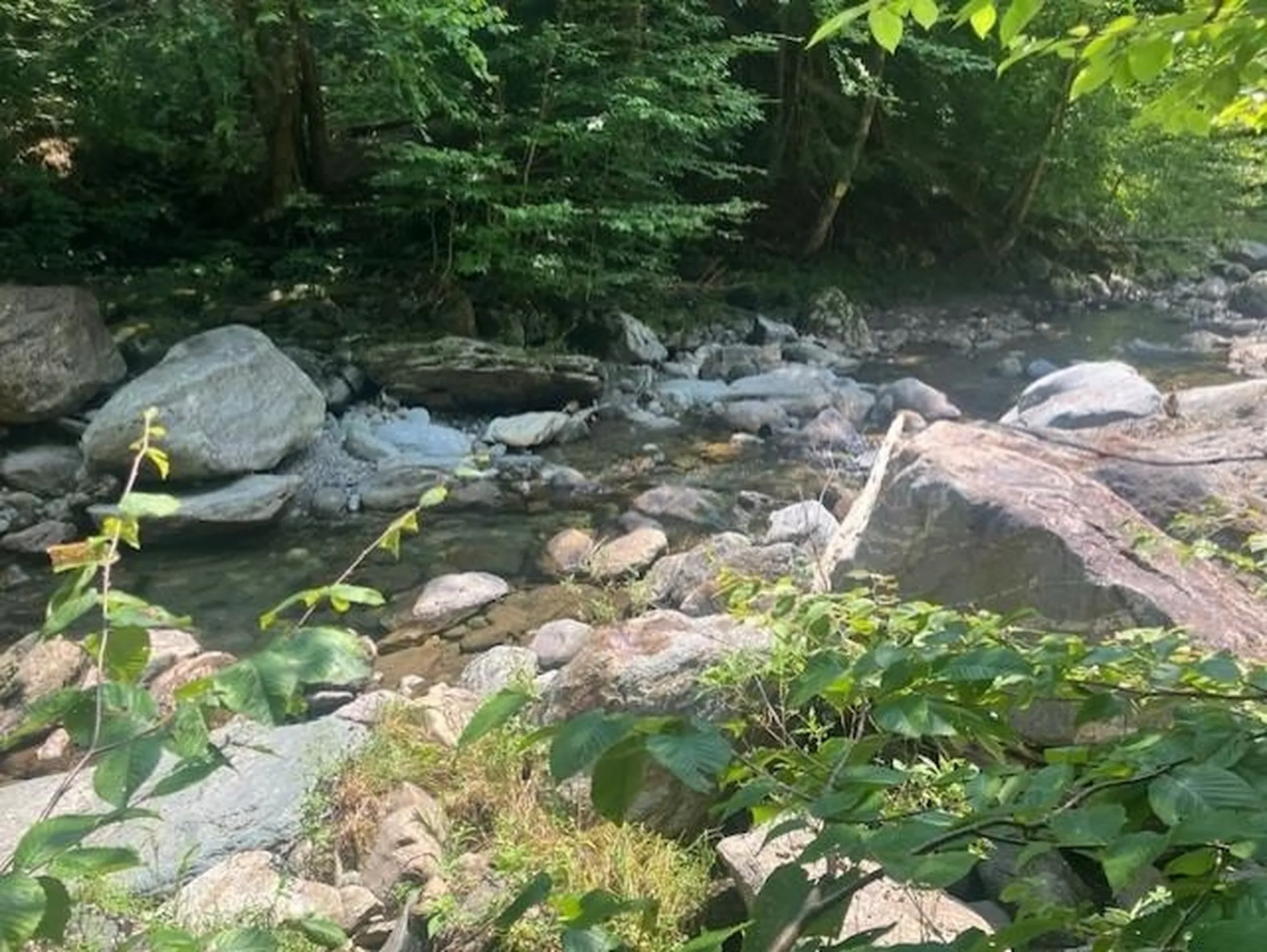 367 Lower Ring Road Montgomery VT 05471