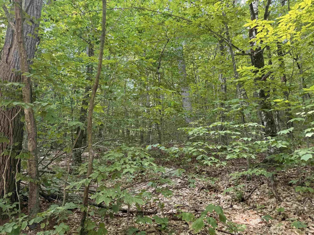 28 Appenvel Way Madison NH 03849