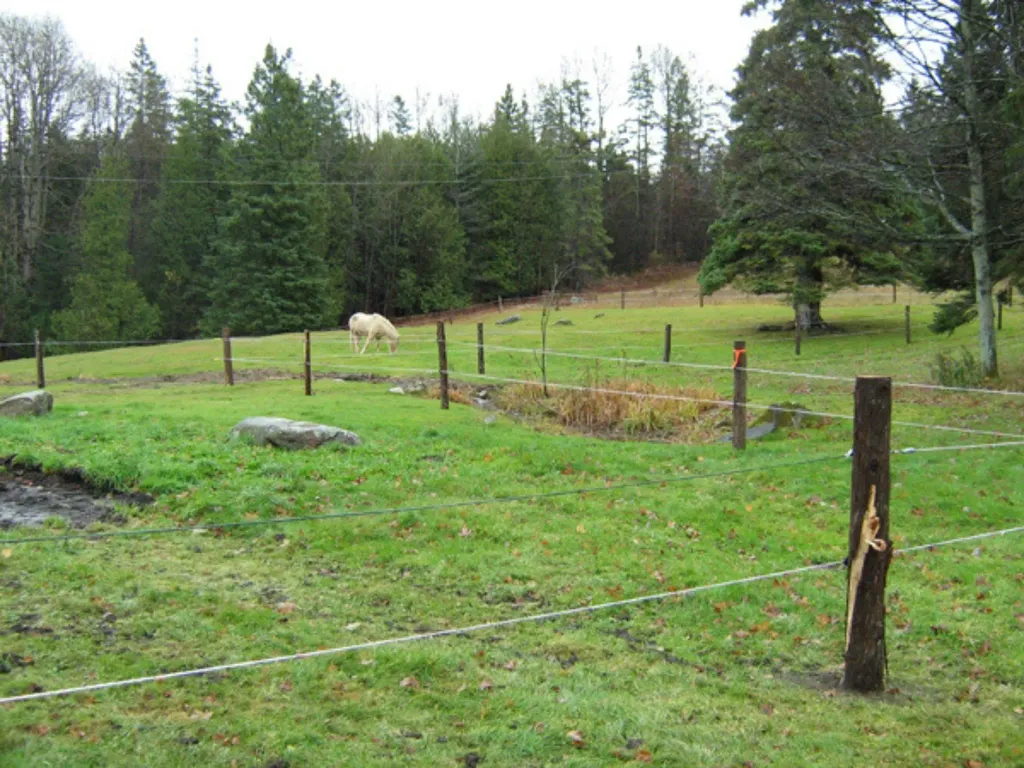 5244 Bayley Hazen Road Peacham VT 05862