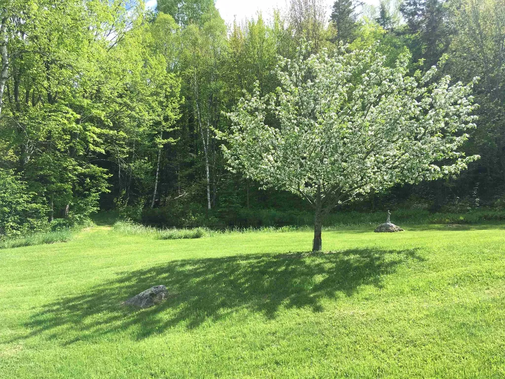 5244 Bayley Hazen Road Peacham VT 05862