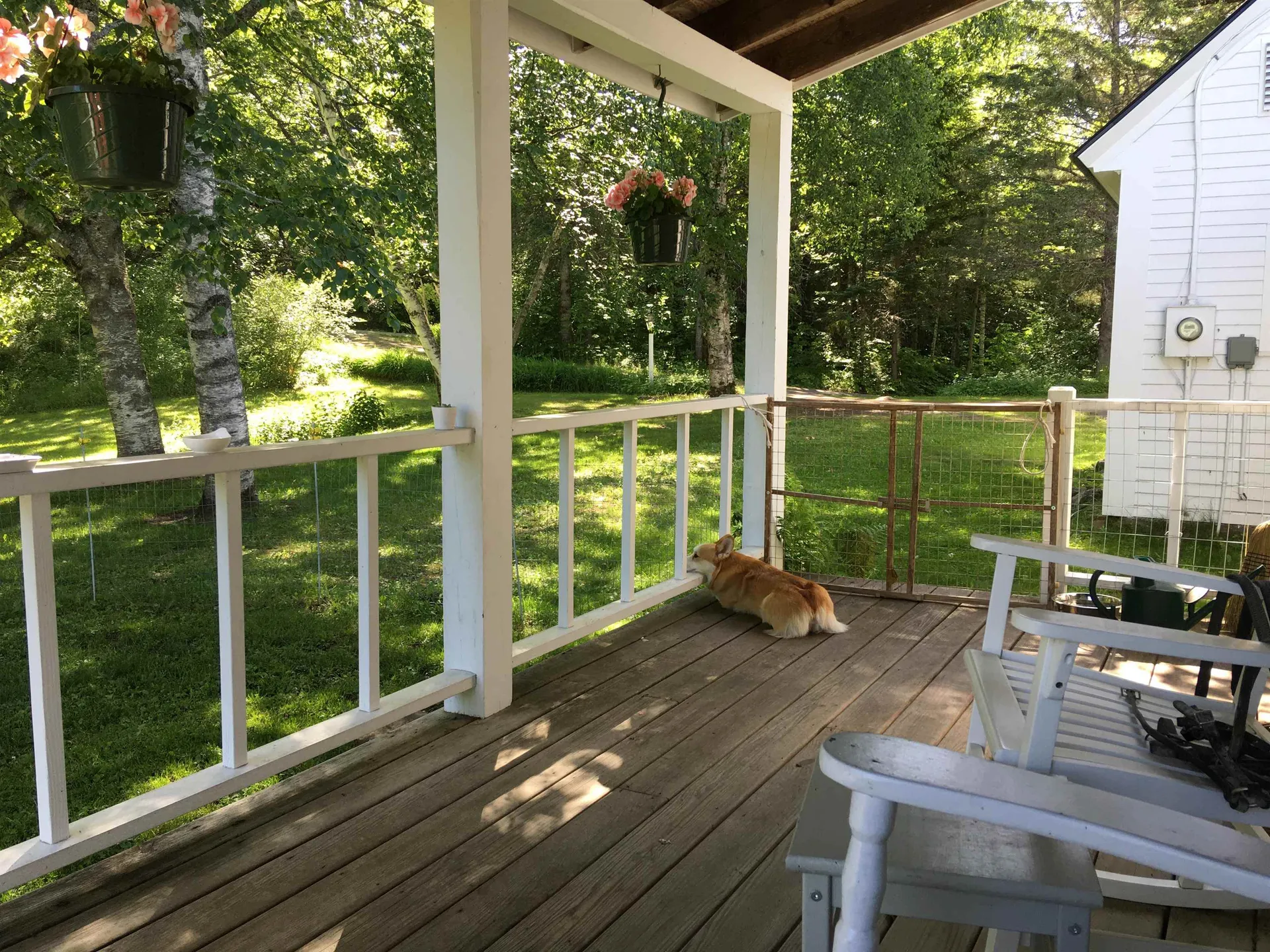 5244 Bayley Hazen Road Peacham VT 05862