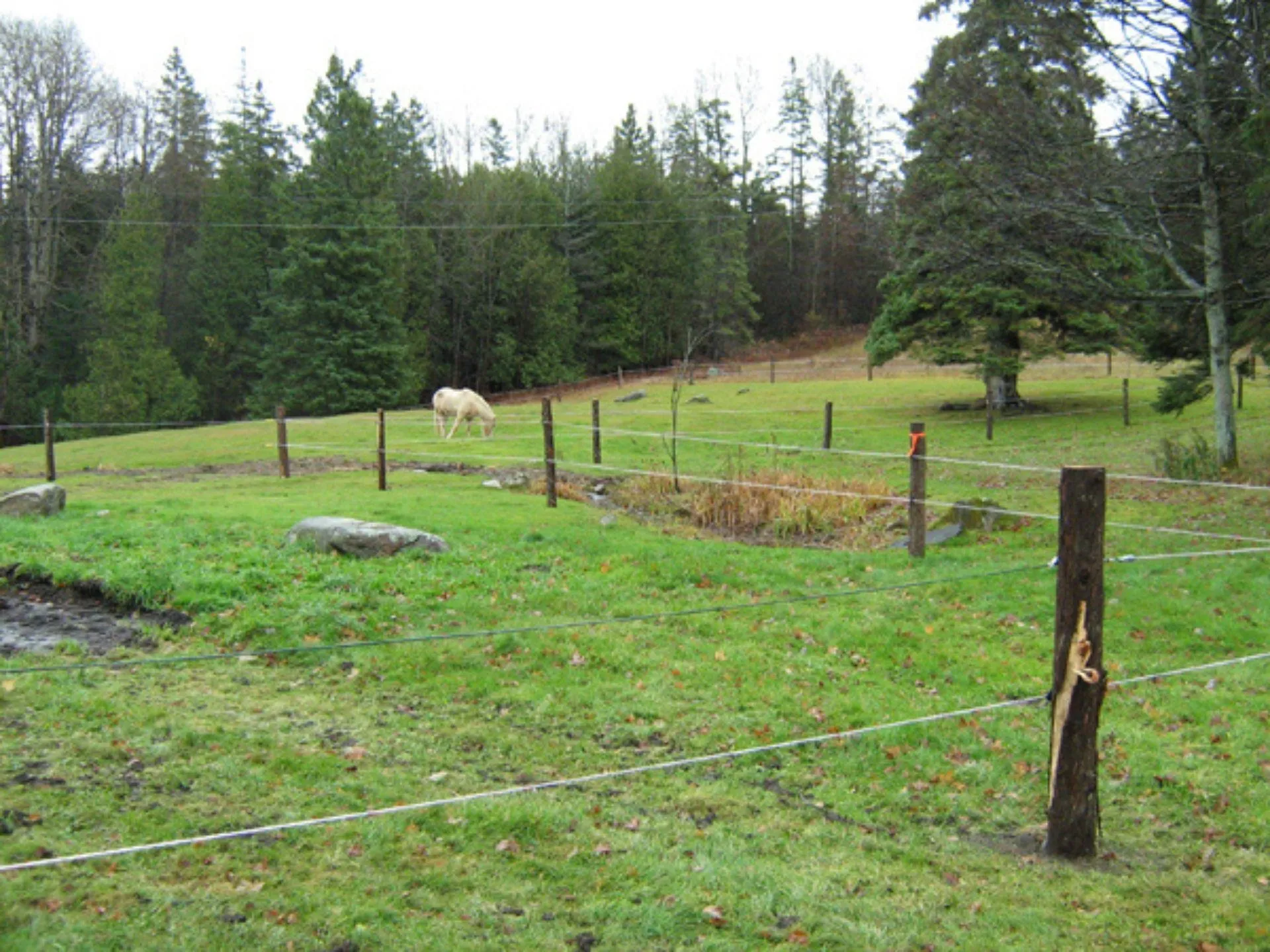 5244 Bayley Hazen Road Peacham VT 05862