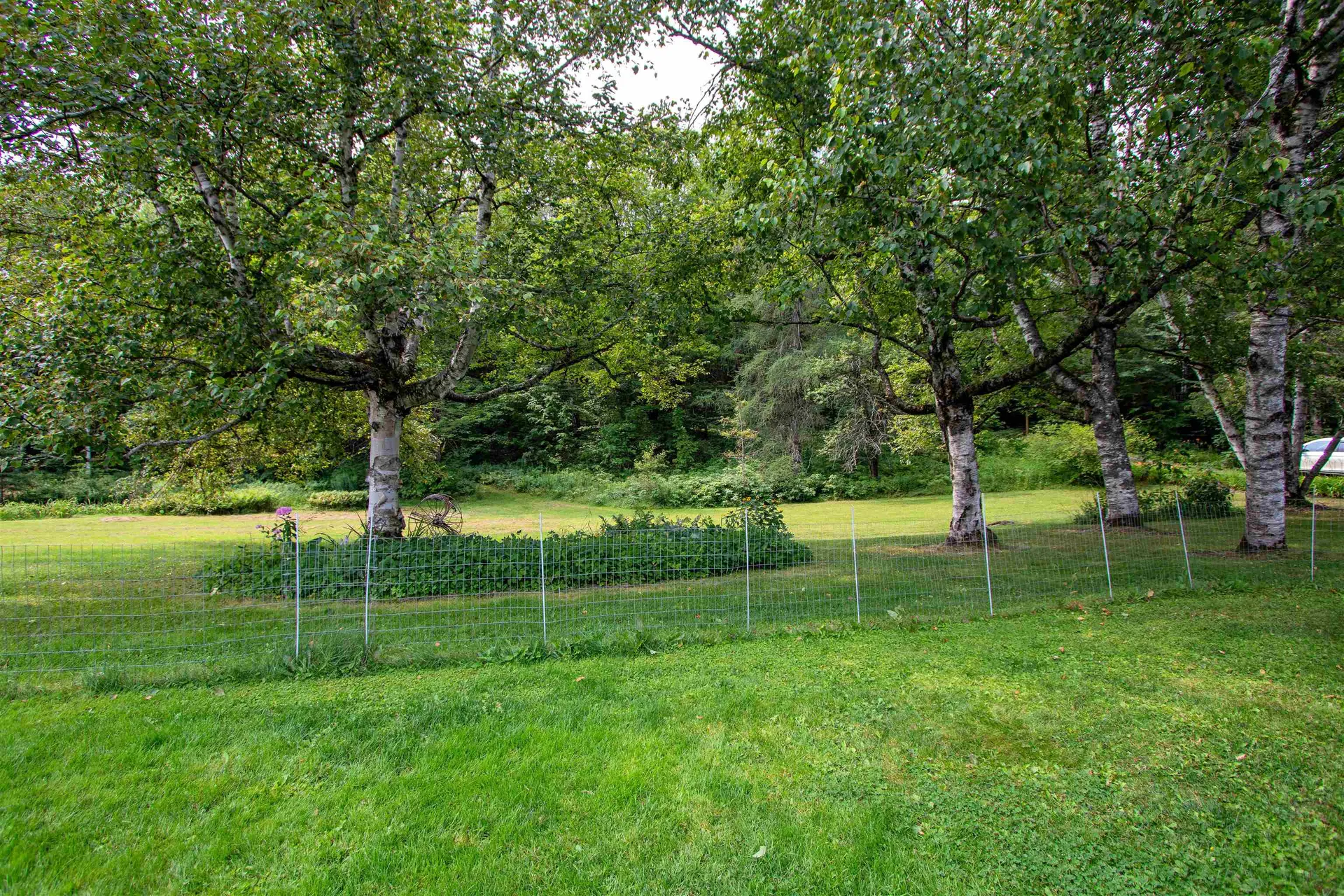 5244 Bayley Hazen Road Peacham VT 05862