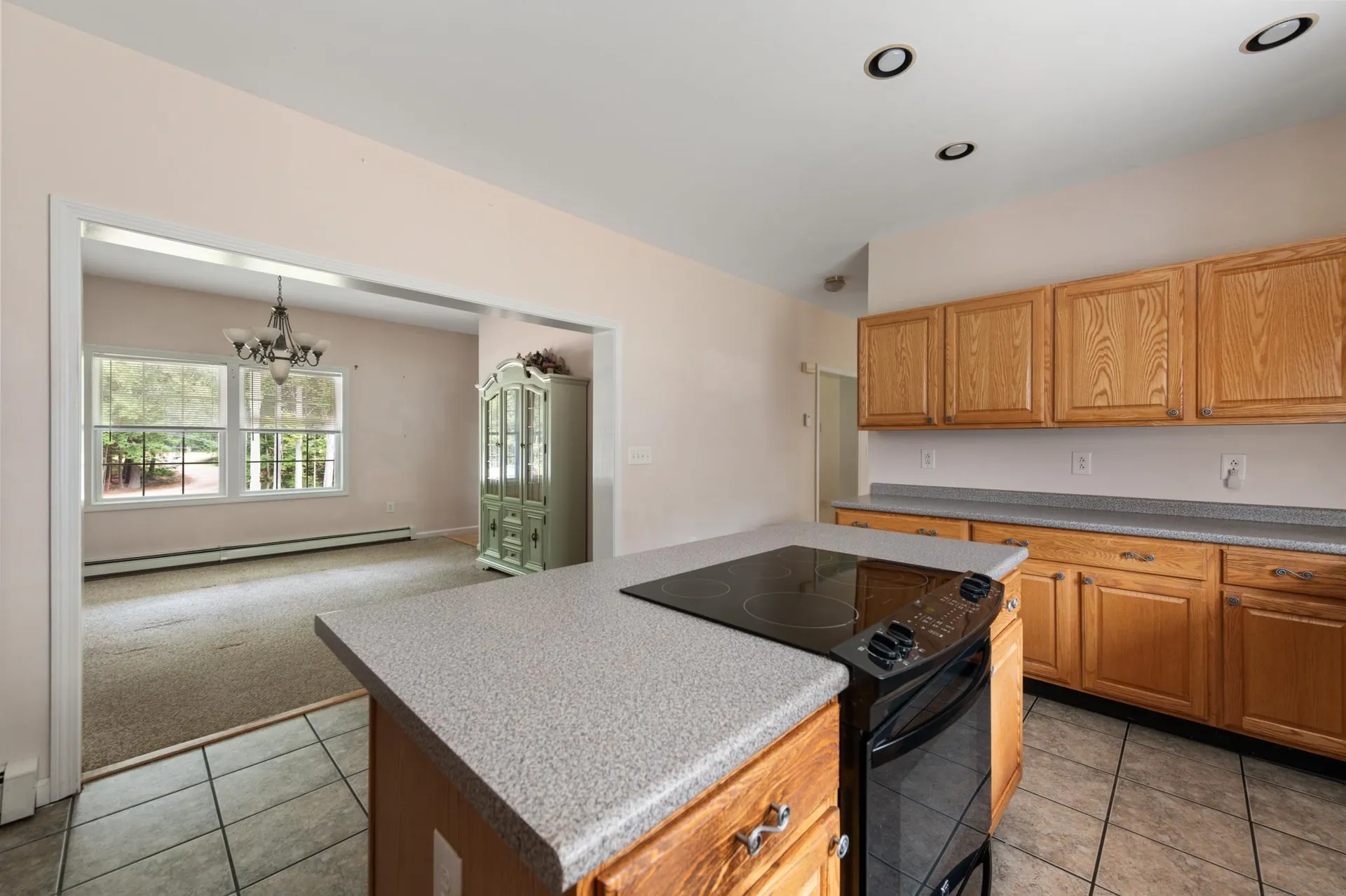 82 Jenness Hill Road Bristol NH 03222