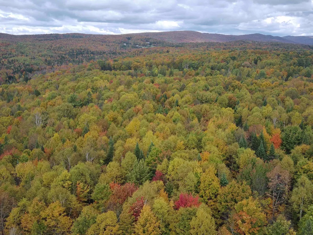 00 Walden Hill Road Danville VT 05828