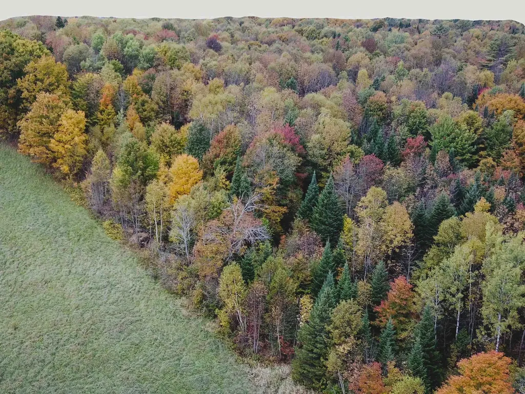 00 Walden Hill Road Danville VT 05828