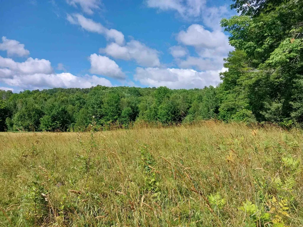 00 Walden Hill Road Danville VT 05828