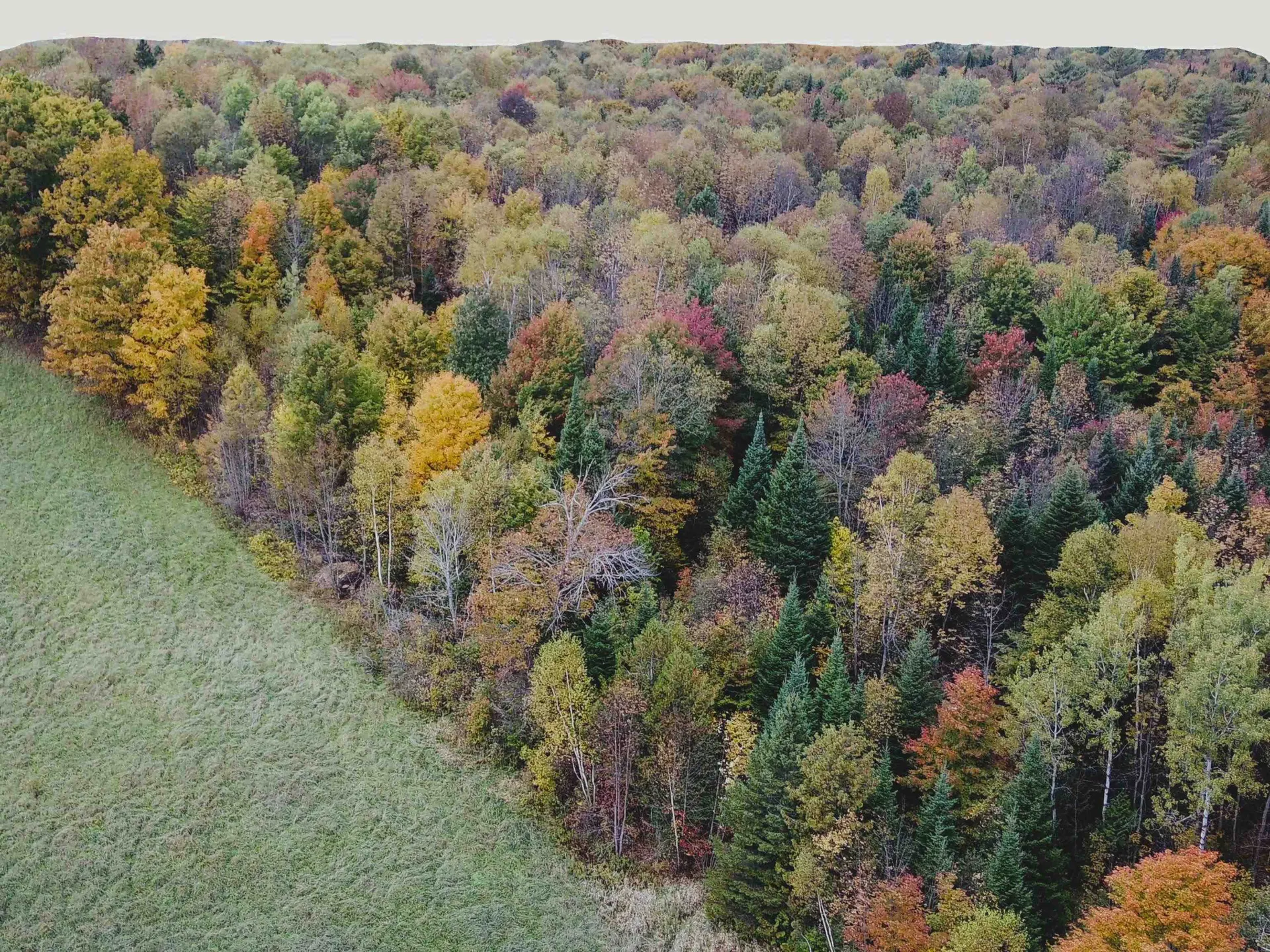 00 Walden Hill Road Danville VT 05828