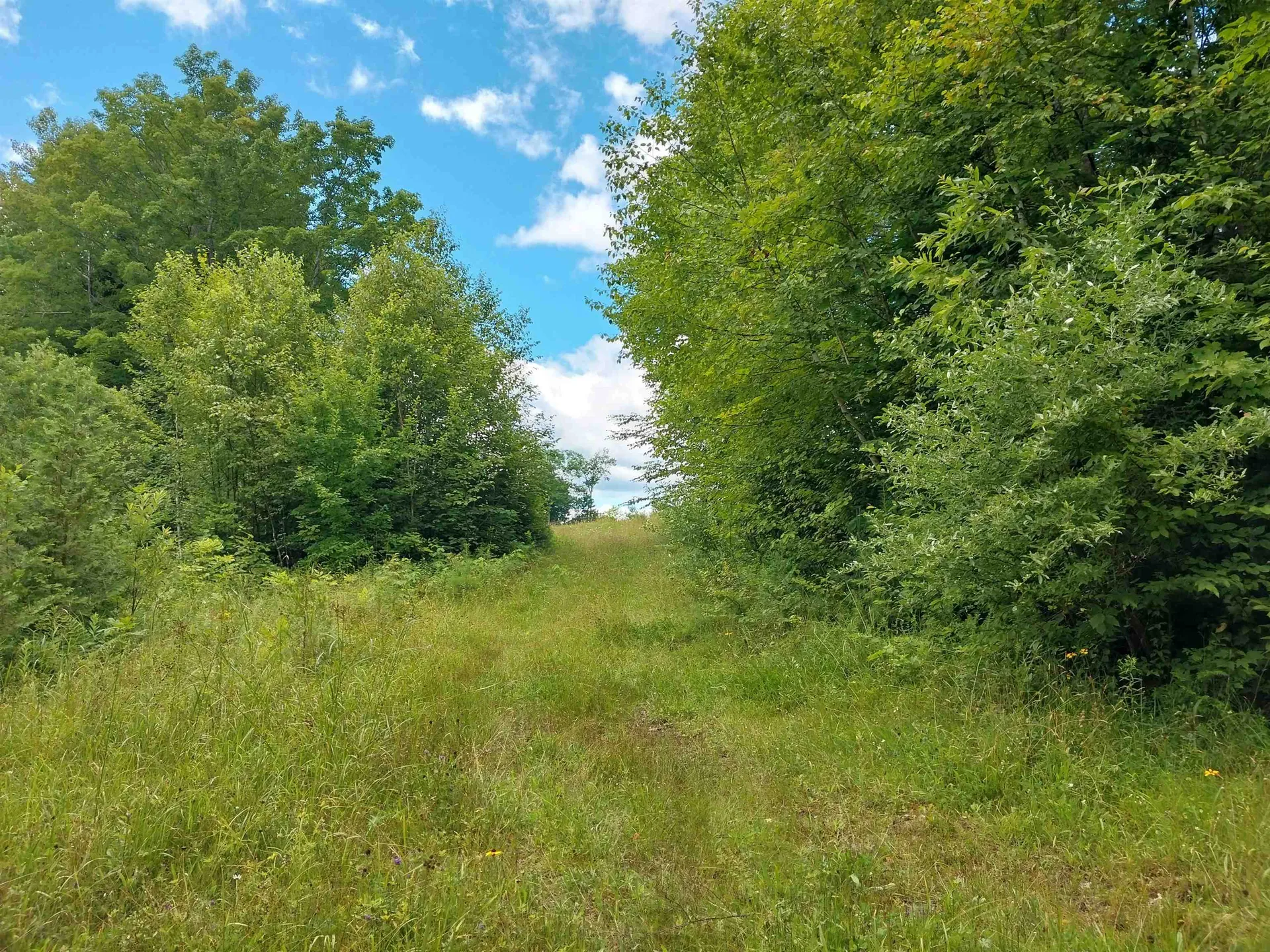 00 Walden Hill Road Danville VT 05828