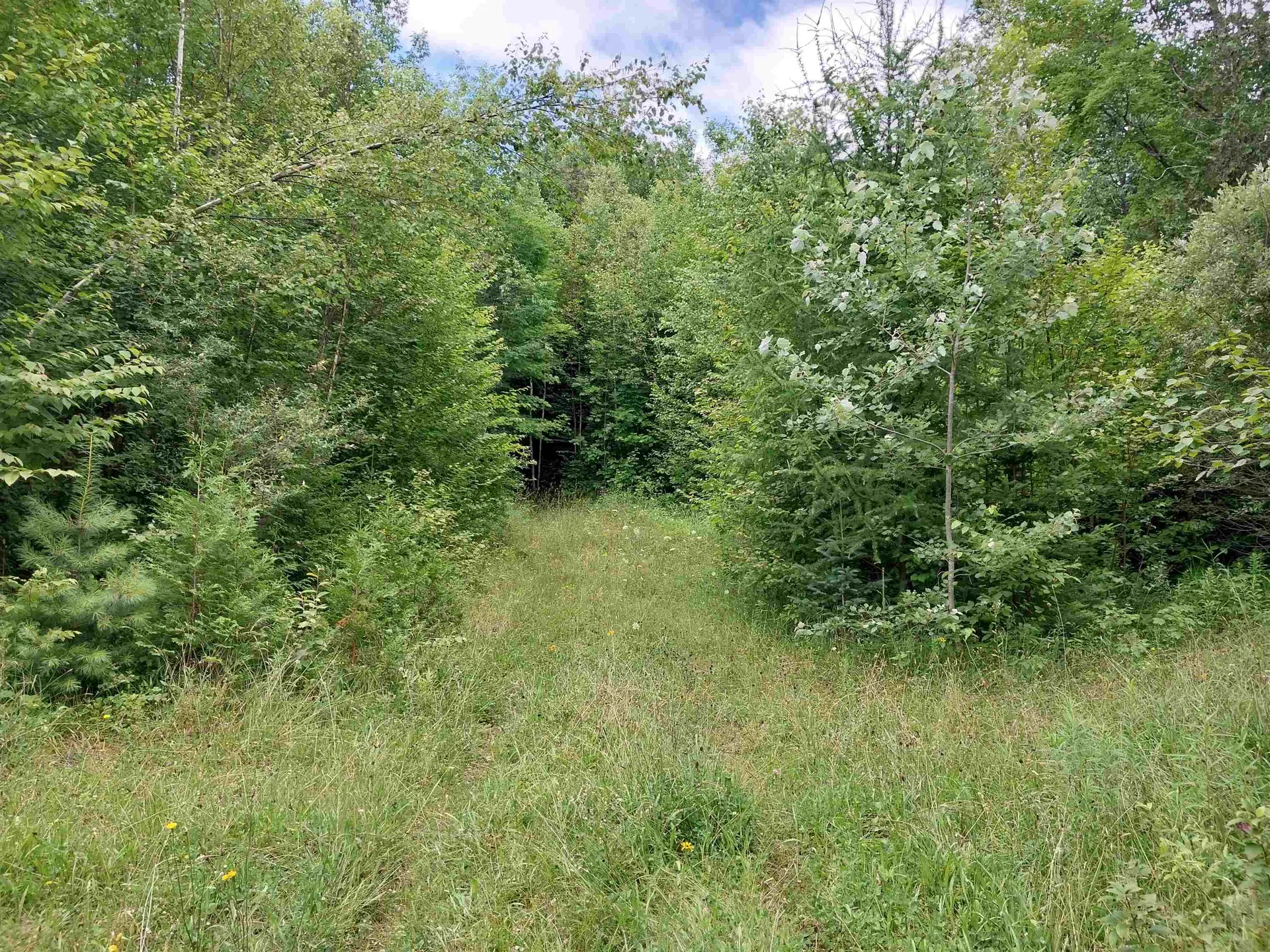 00 Walden Hill Road Danville VT 05828