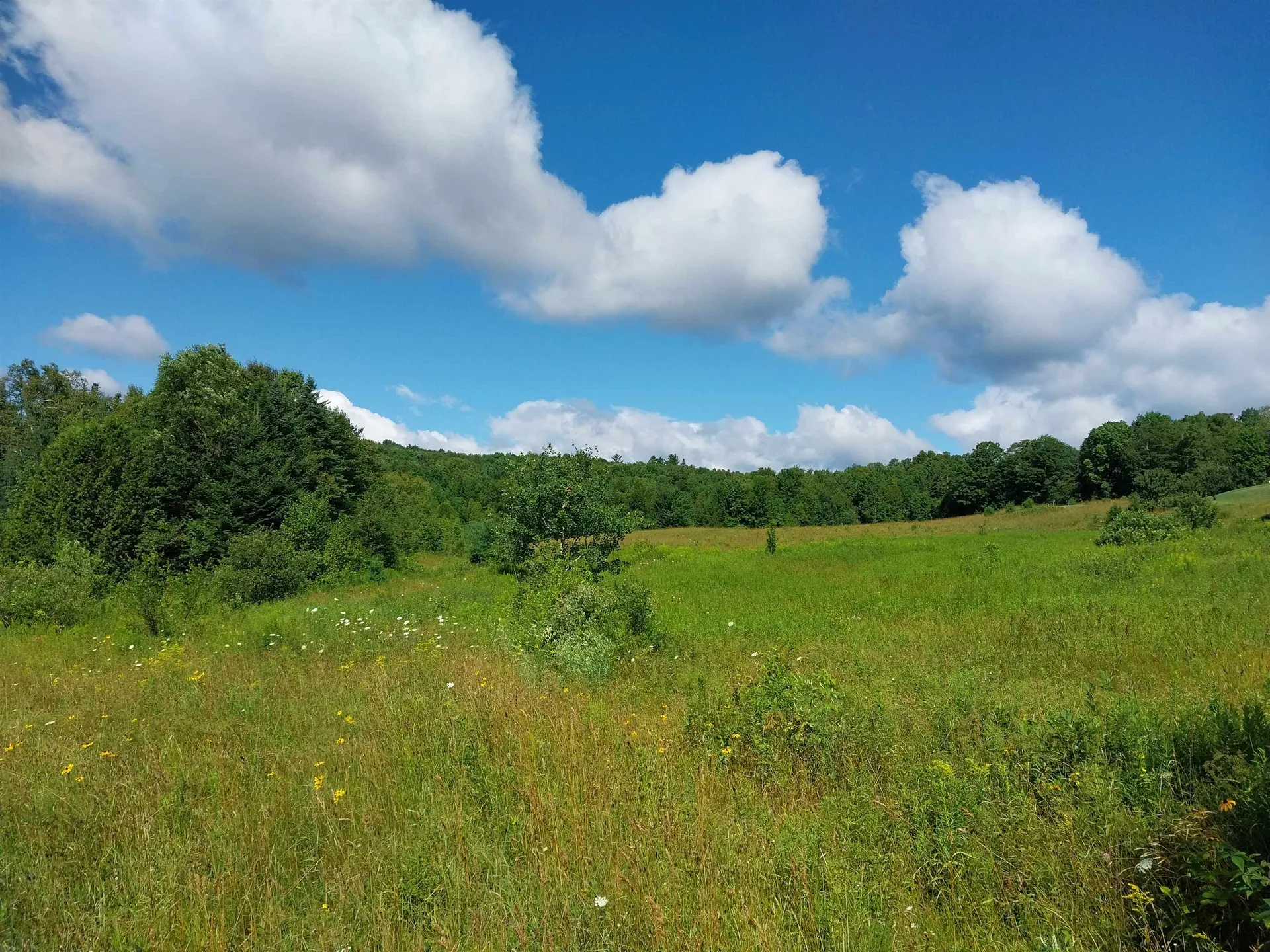 00 Walden Hill Road Danville VT 05828