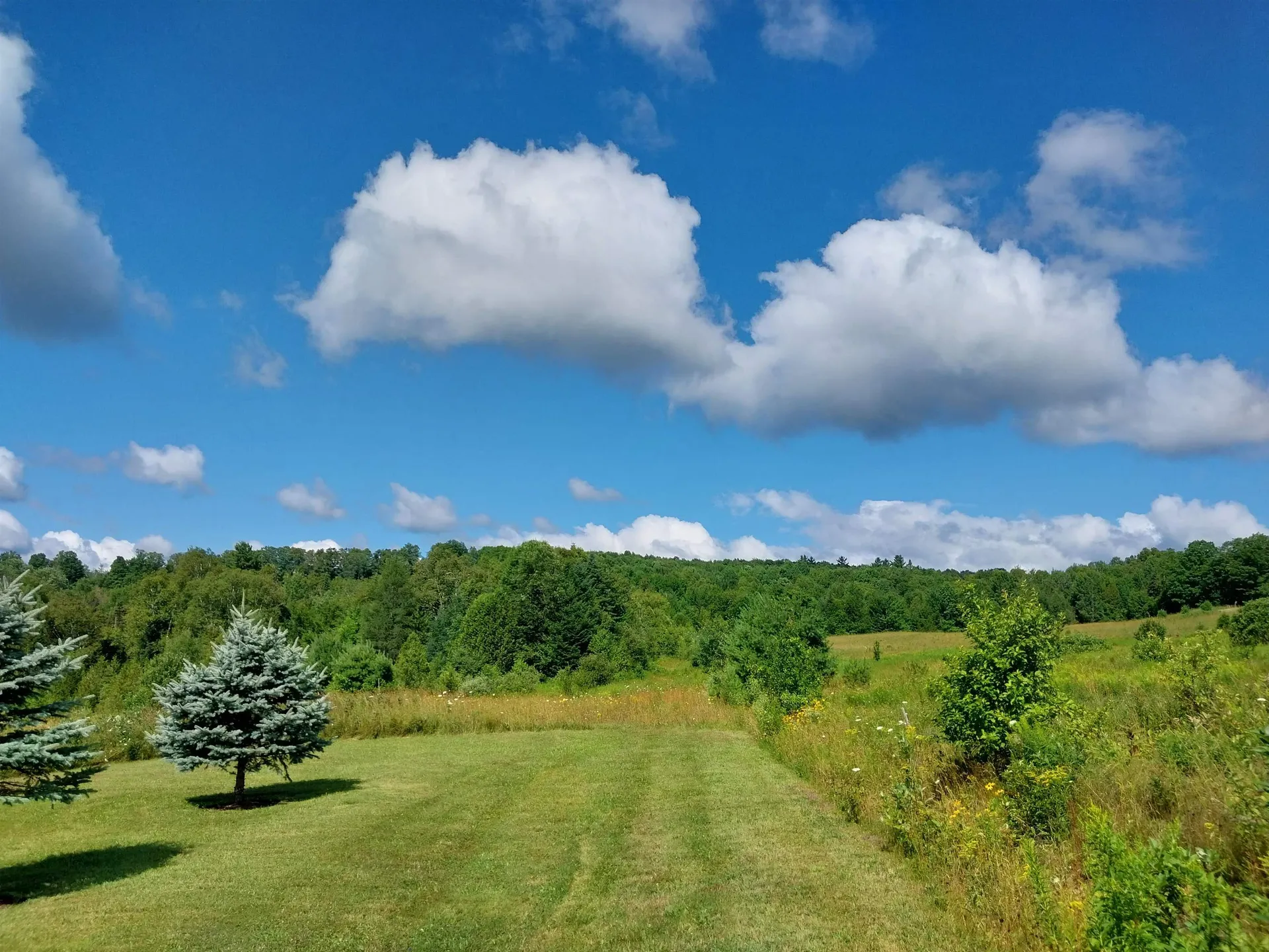 00 Walden Hill Road Danville VT 05828